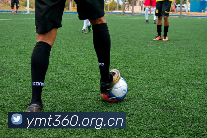 米兰网官网登录入口APP 封面图